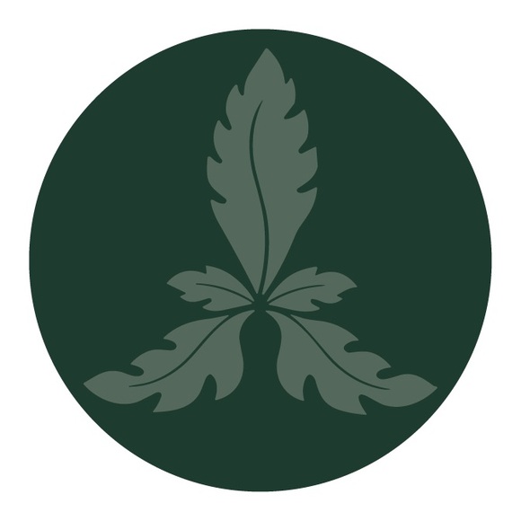 rue_trousseau